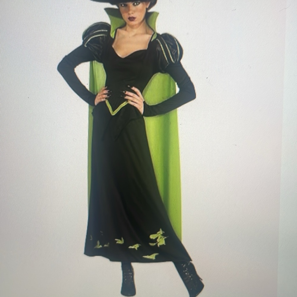 Rubies Costume Wizard of Oz 75th Ann Ed Adult Wicked Witch of the West Costume